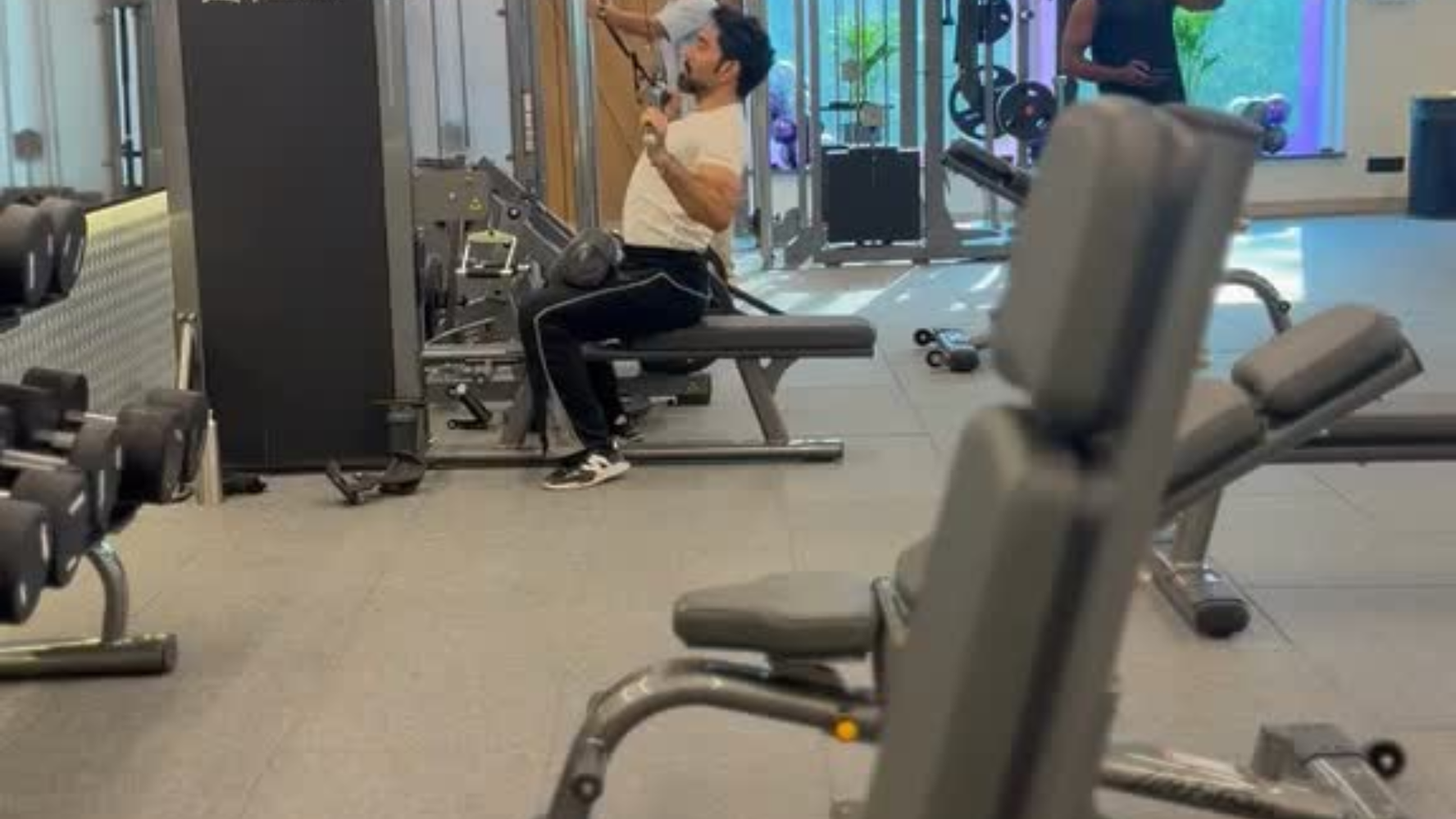 Full body workout