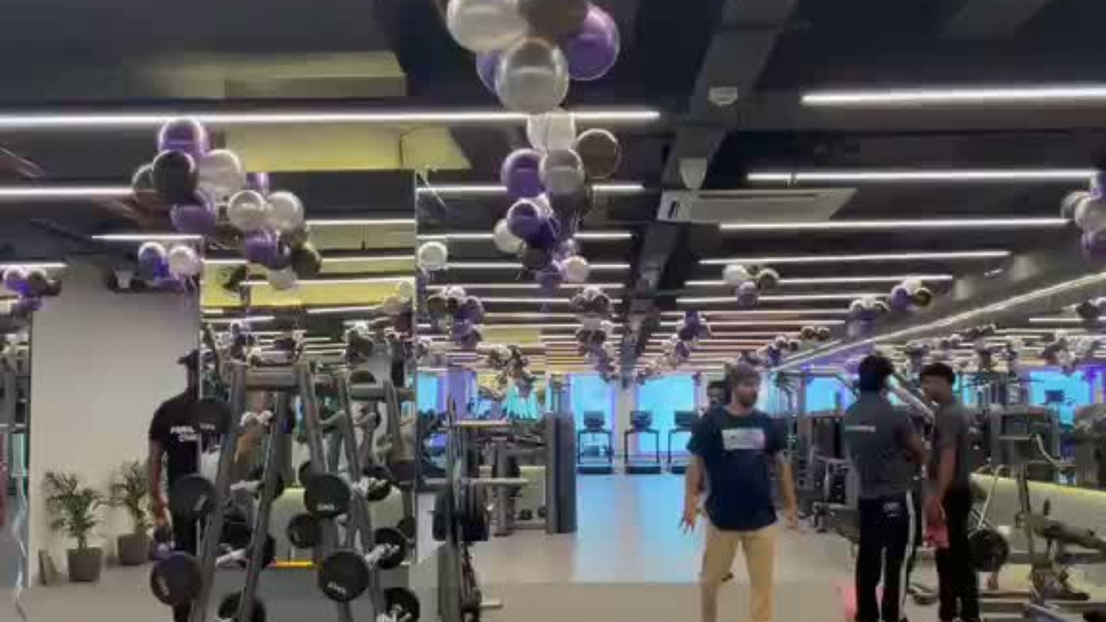 Full body workout