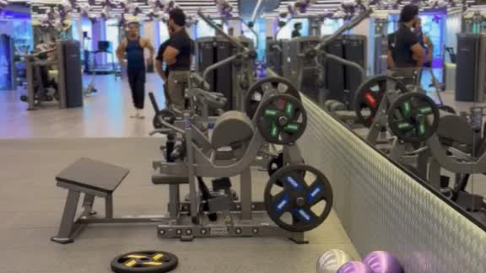 Full body workout