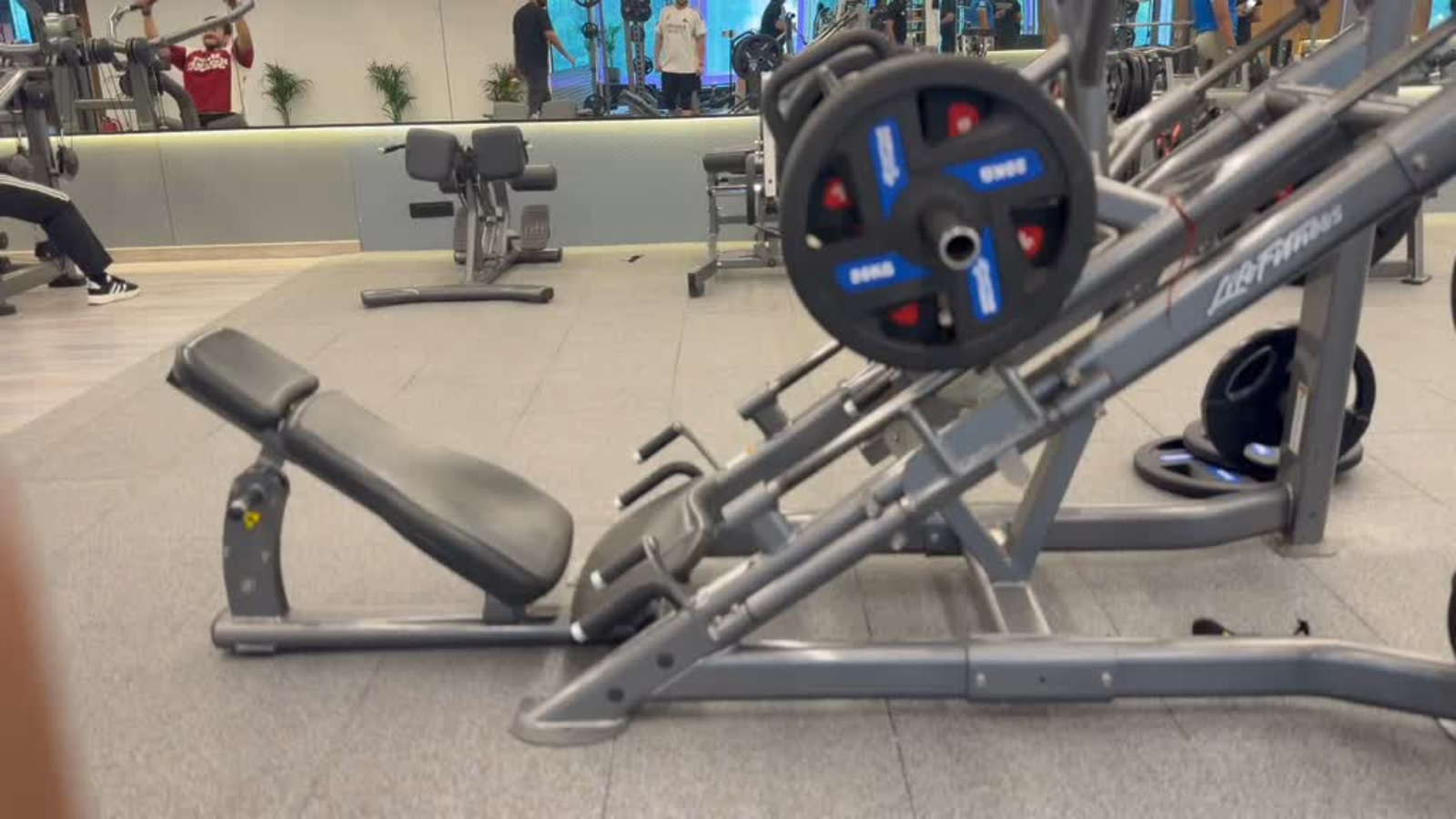 Full body workout