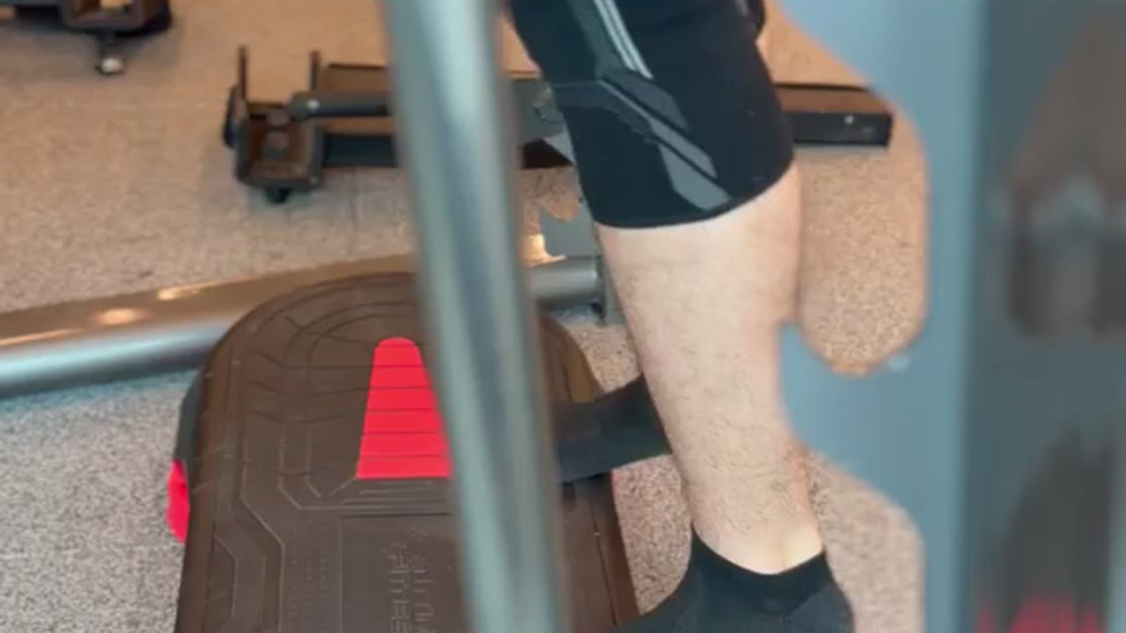 Full body workout